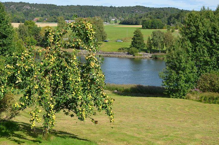 Aelvbacken Hotel Vasterlanda Bagian luar foto